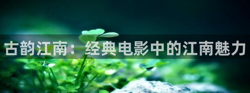 新视觉8090电影