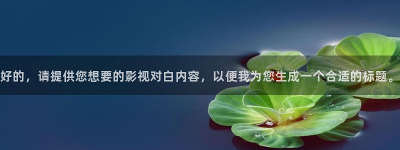 新视觉有限公司