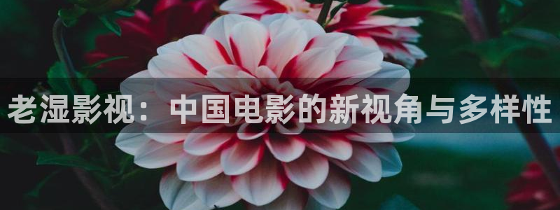 新视觉伦理影院私人家庭影院