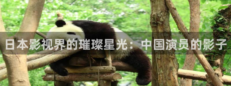 6080新视觉手机官网