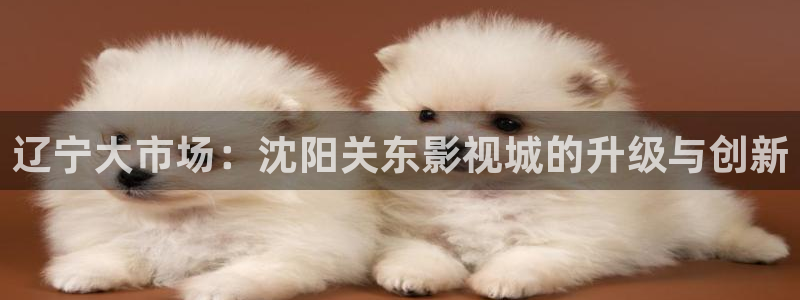 6080新视觉电视剧推荐