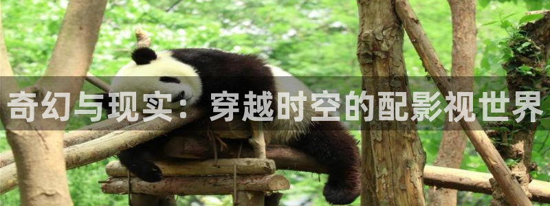 8090新视觉理论电视剧全集高清免费