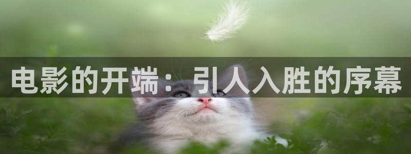 6080青苹果新视觉影院
