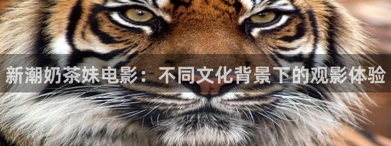 新视觉网站式影院