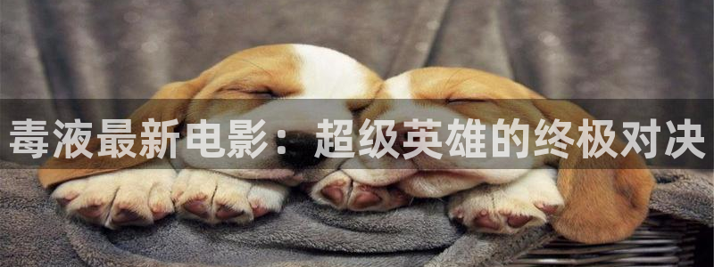 新视觉影院6080在线