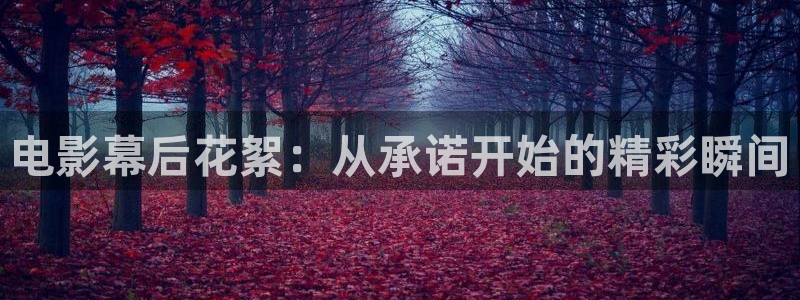 4080新视觉手机电视剧