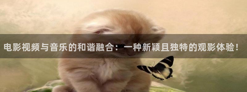 6860新视觉伦理