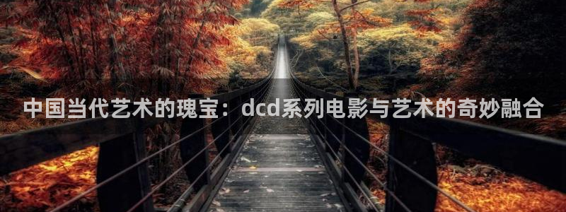 6080新视觉视频播放器