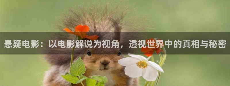 新视觉视觉视