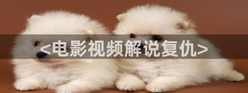 新视觉快播