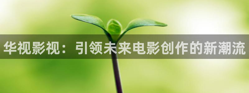 新视觉6080影院