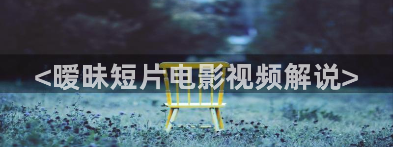 新视觉私人网