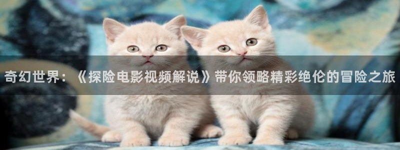 6080新视觉电影电视剧在线观看官网
