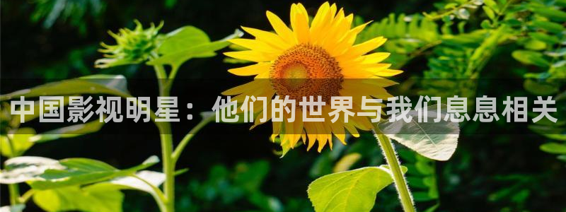yy680新视觉影院