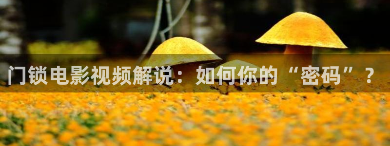 新视觉影院6080理论