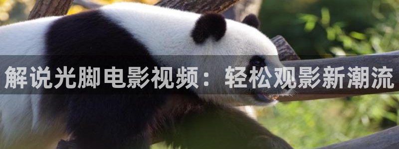 新视觉电影6080