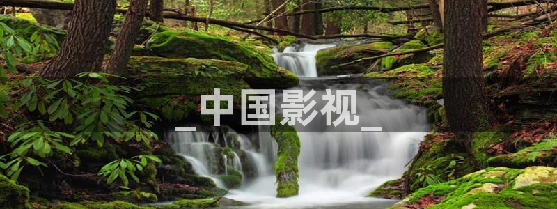 新视觉6080电影免费观看高清