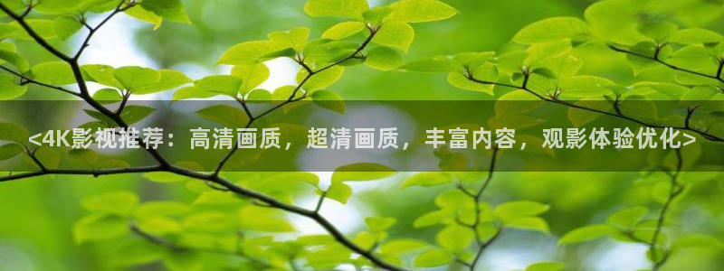 4080新视觉影视