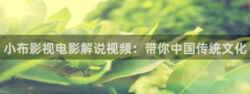 yy6090青苹果新视觉