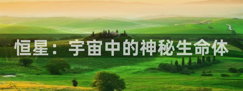 神马影院新视觉