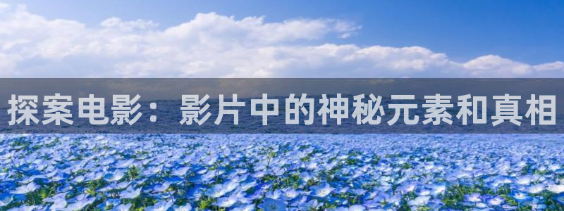 4480新视觉电影院