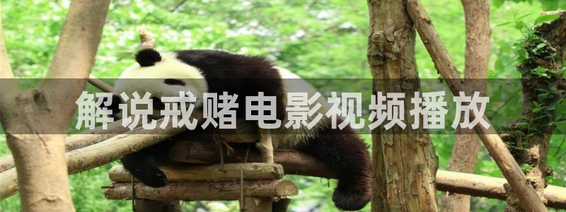 yy8090新视觉电视剧免费观看6月7日