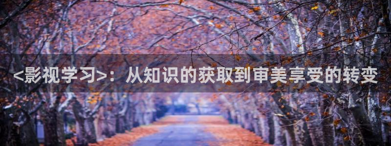新视觉奇领