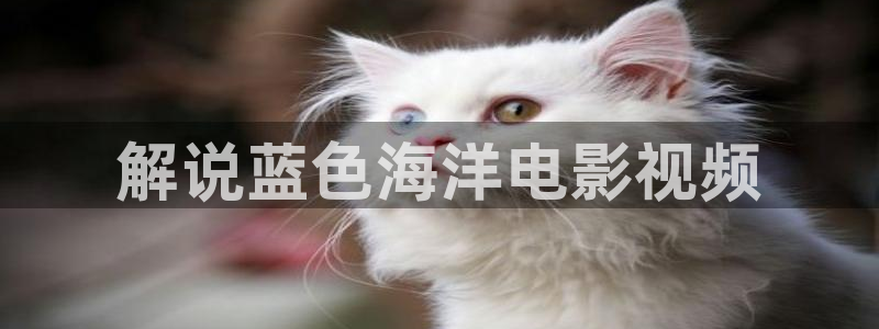 yy6080新视觉电视剧更新时间