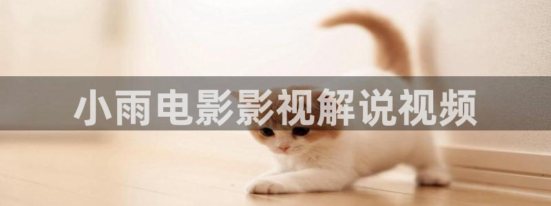 新视觉抢先看