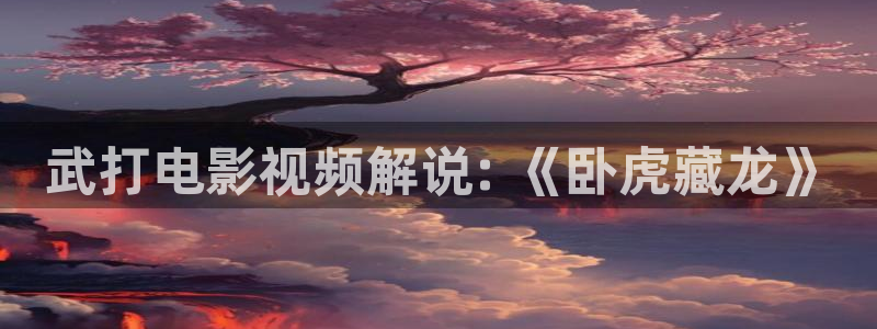 新视觉影院播放器