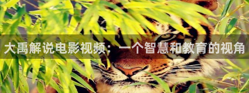 新视觉6080yy影院