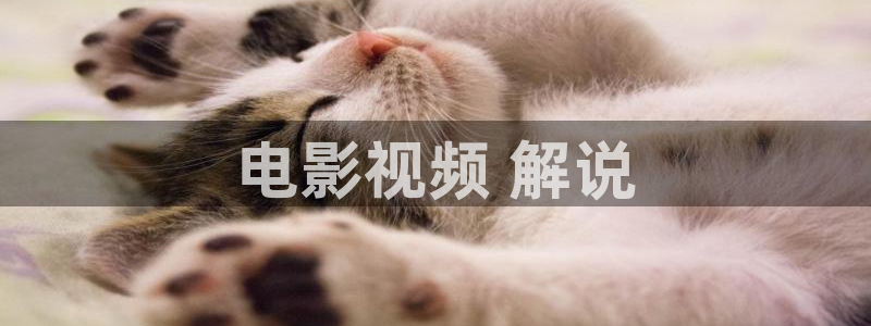丫丫6080新视觉影院