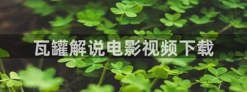 6080新视觉电影理论电视剧网站
