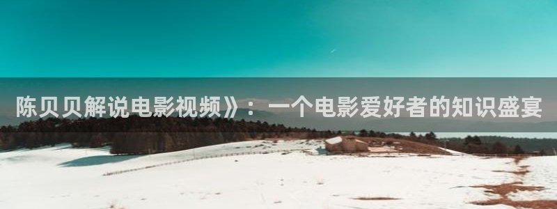 新视觉网络科技有限公司