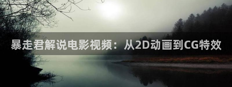 新视觉毛片
