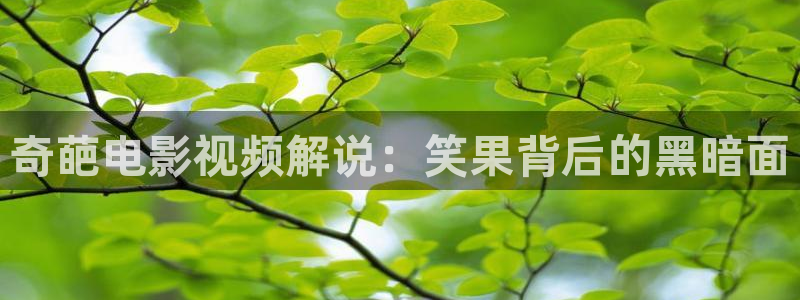 yy8090新视觉电影电视剧在线观看