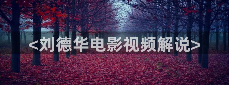 新视觉影院速
