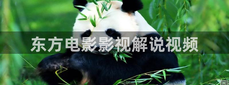 8090新视觉理论电视剧全集高清免费大