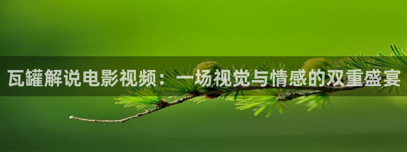 6080新视觉电影理论电视剧在线