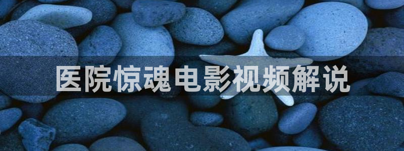 新视觉学校