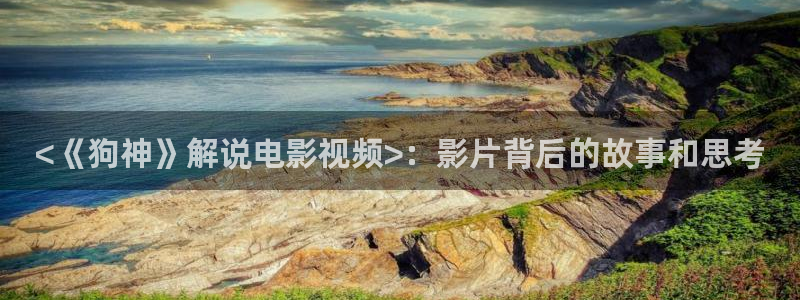 新视觉摄影怎么样