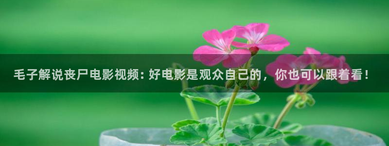 新视觉青