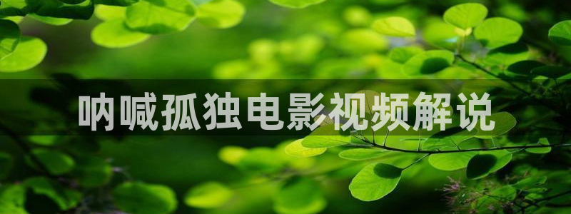 6080新视觉电影电视剧免费观看