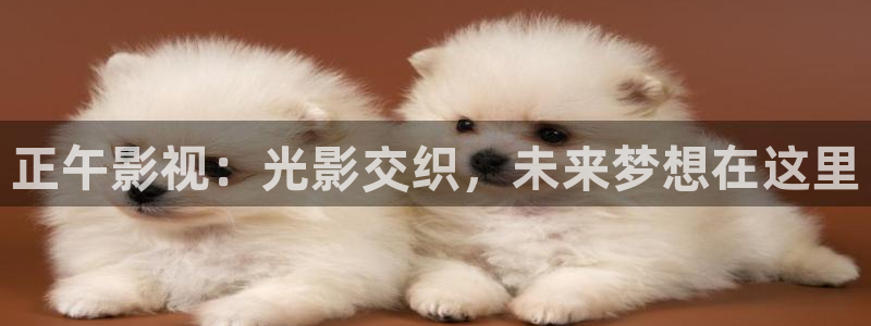 6080新视觉伦理