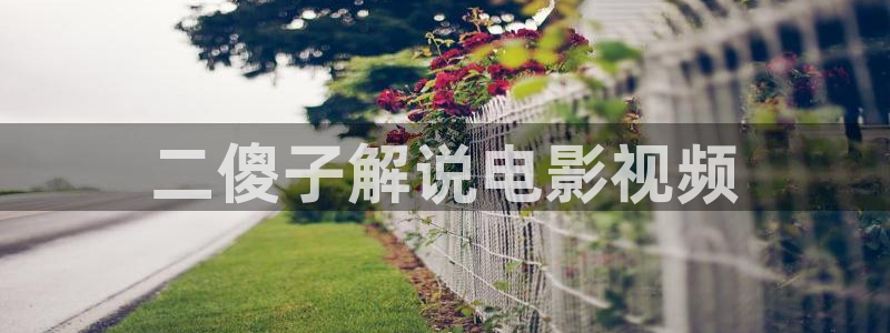 新视觉影院电脑版