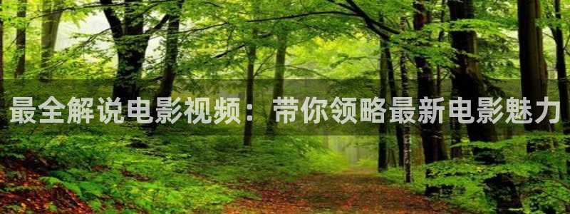 新视觉杭州培训