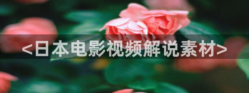 6080新视觉理论片免费观看