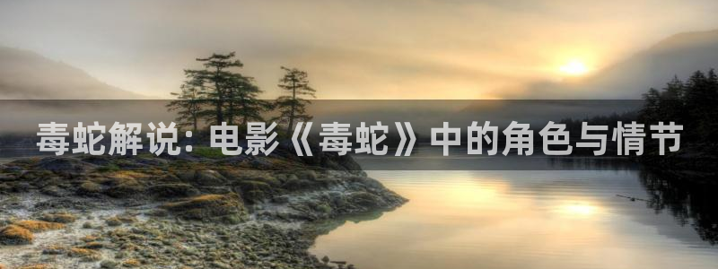 新视觉神马