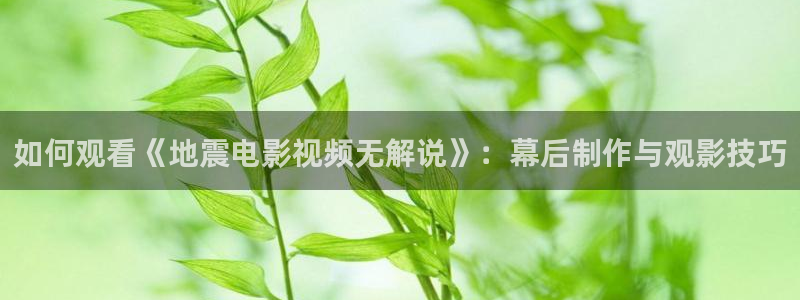 6068新视觉