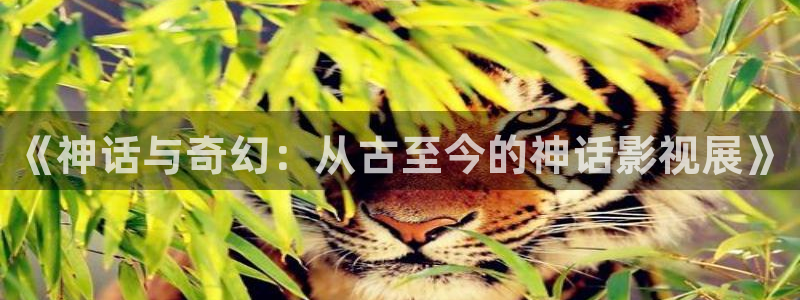 6808新视觉